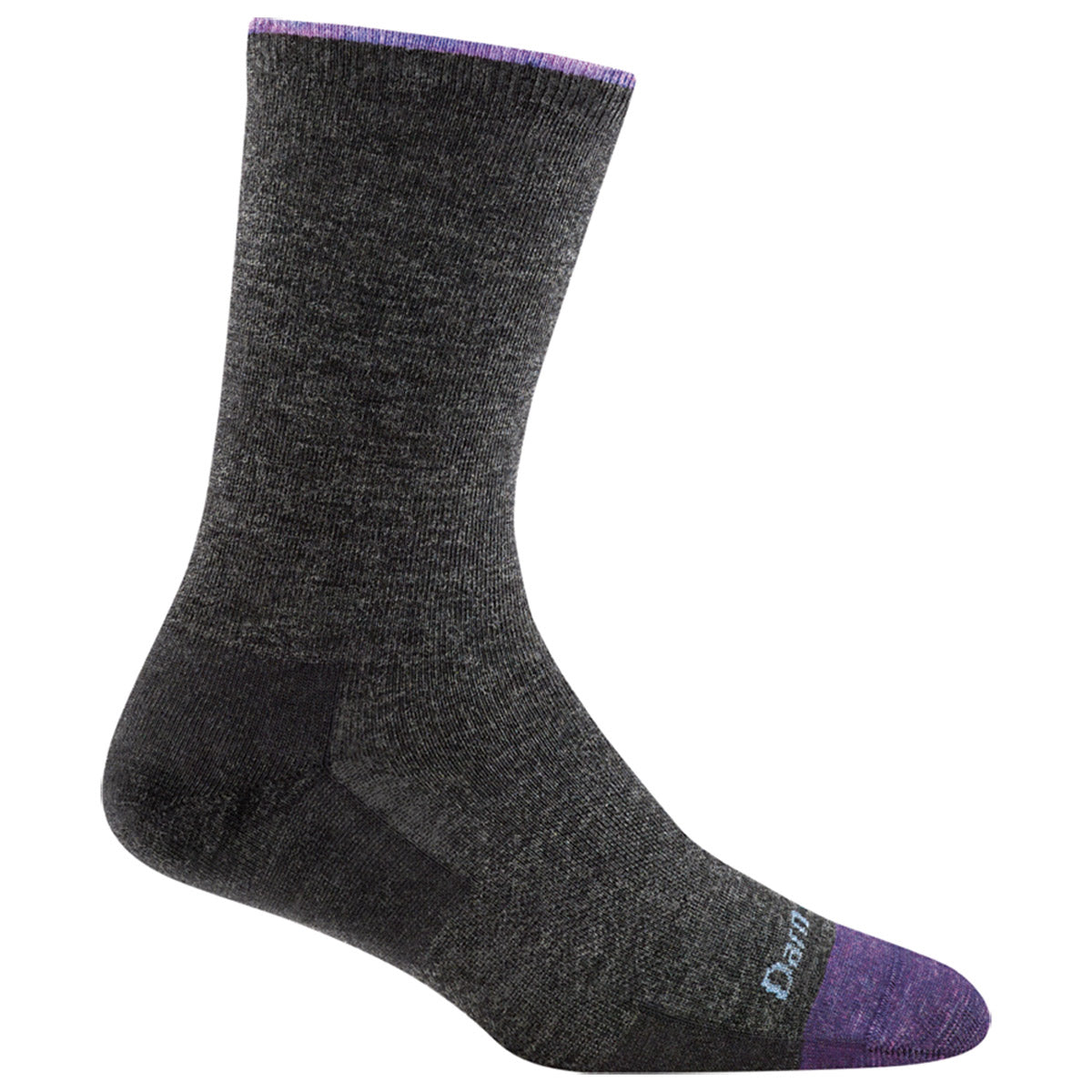 A single Darn Tough women&#39;s DARN TOUGH SOLID BASIC CREW SOCKS CHARCOAL with a purple toe and a purple stripe at the top.