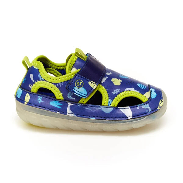 The STRIDE RITE SM SPLASH BLUE MULTI - TODDLER sandal from Stride Rite features a vibrant blue and green color scheme with an aquatic-themed pattern. Designed for water adventures, this sandal is equipped with a Velcro strap, semi-transparent sole, and memory foam footbeds to ensure comfort for all-day play.