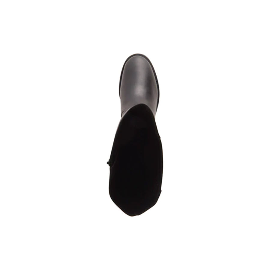 Top-down view of a single black leather David Tate &quot;Allegria Extended Calf&quot; knee-high boot, showcasing the outer side and heel. The wide calf design boot is placed against a plain white background.