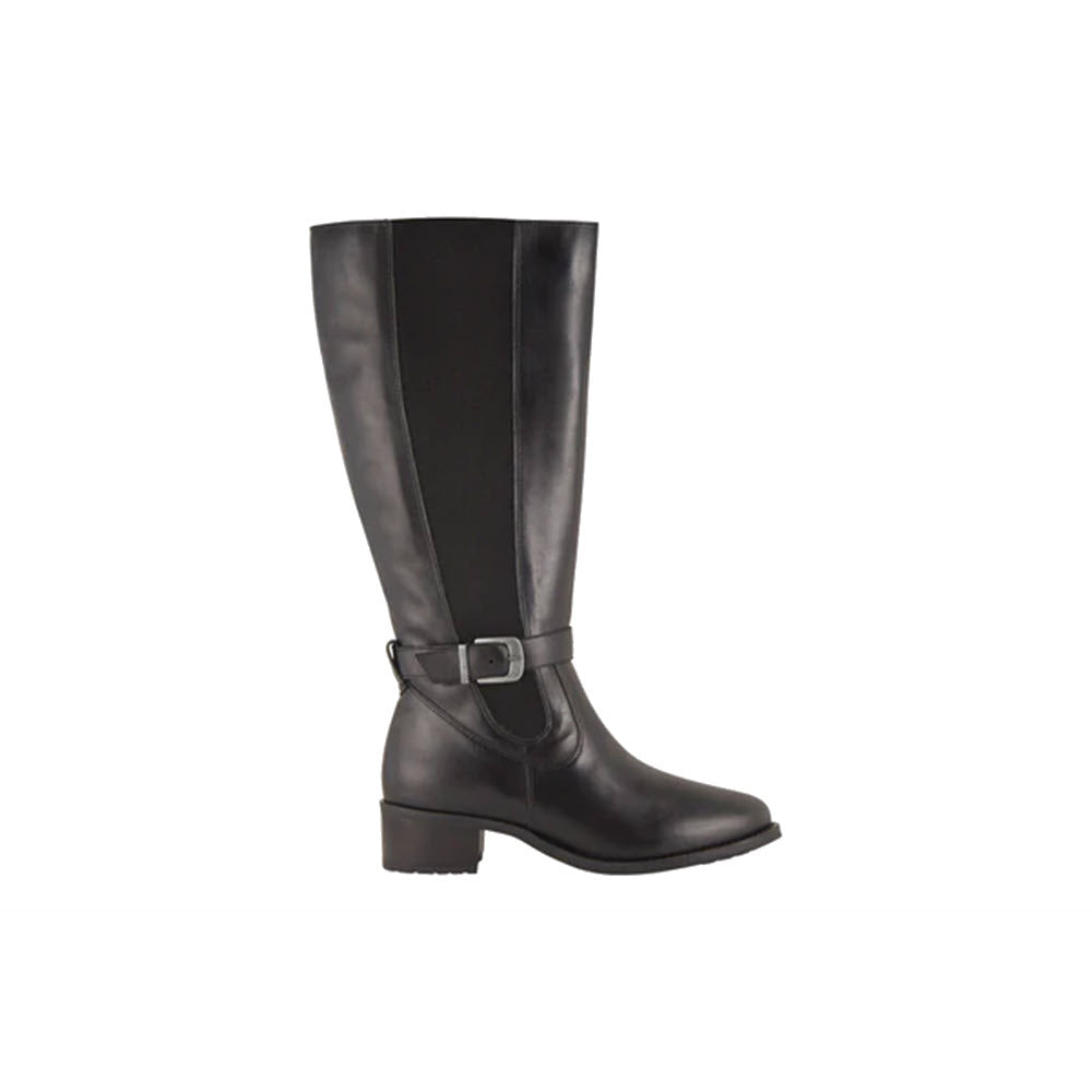 A single black DAVID TATE ALLEGRIA EXTENDED CALF knee-high riding boot with a buckle and a low heel, crafted from smooth leather by David Tate, viewed from the side.