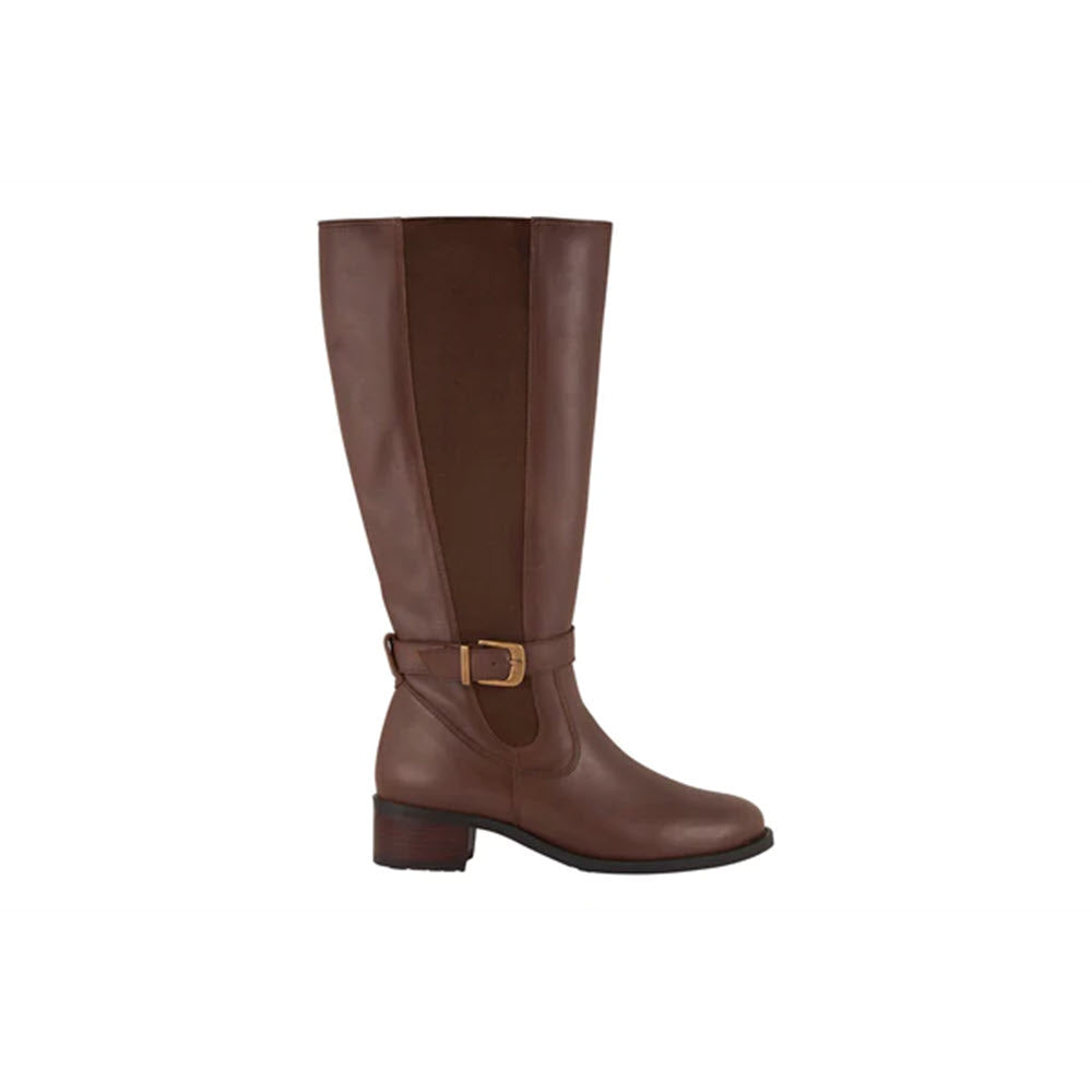 The DAVID TATE ALLEGRIA EXTENDED CALF BROWN for women by David Tate is a single knee-high boot in brown, featuring a gold buckle around the ankle, a low block heel, an elastic side panel, and crafted from waterproof leather.