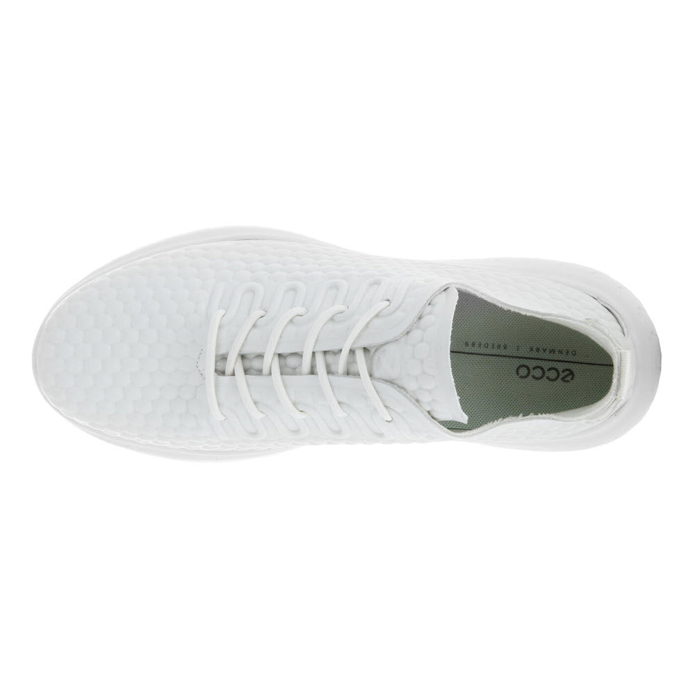 Fashion ecco sneakers mens white