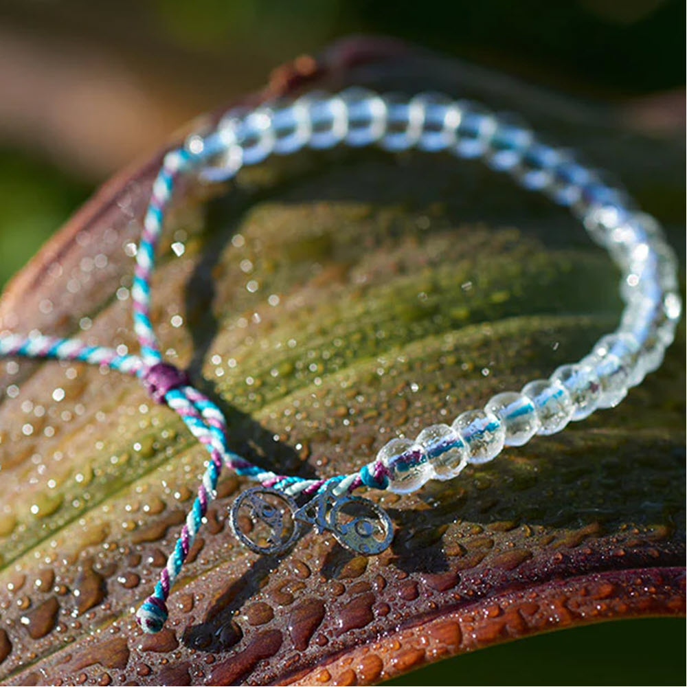 Whale sales 4ocean bracelet