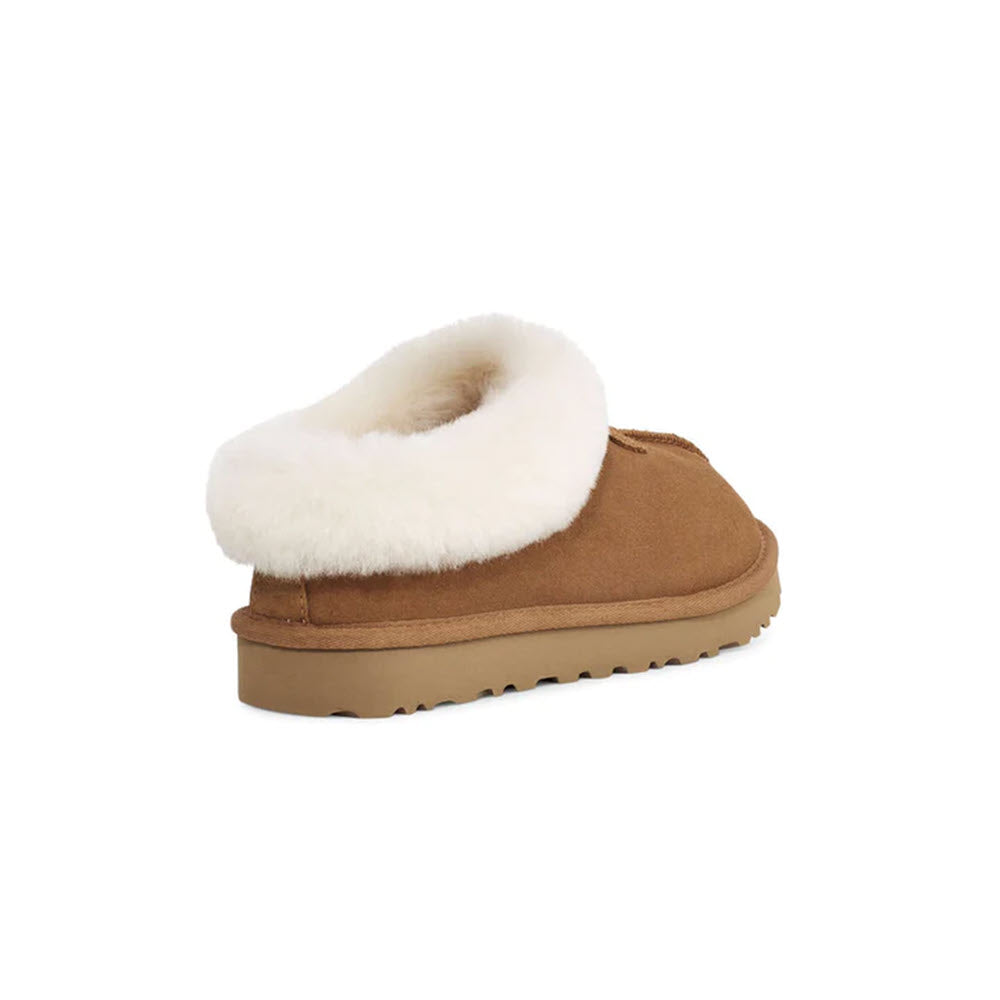 UGG TAZZETTE CHESTNUT - WOMENS