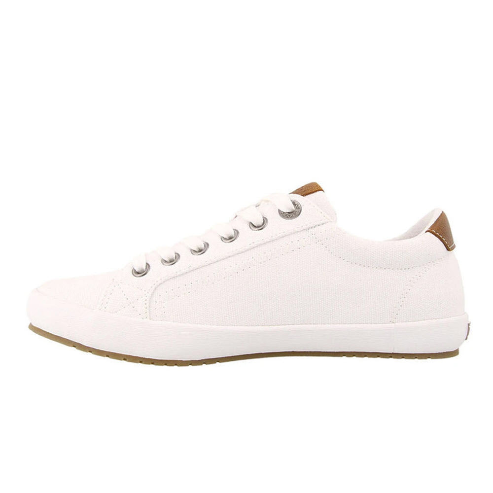 Introducing the TAOS STAR BURST WHITE for women by Taos: a stylish white canvas sneaker featuring a durable rubber sole, six eyelets for laces, a chic brown accent on the heel tab, and an elegant fabricated leather trim.