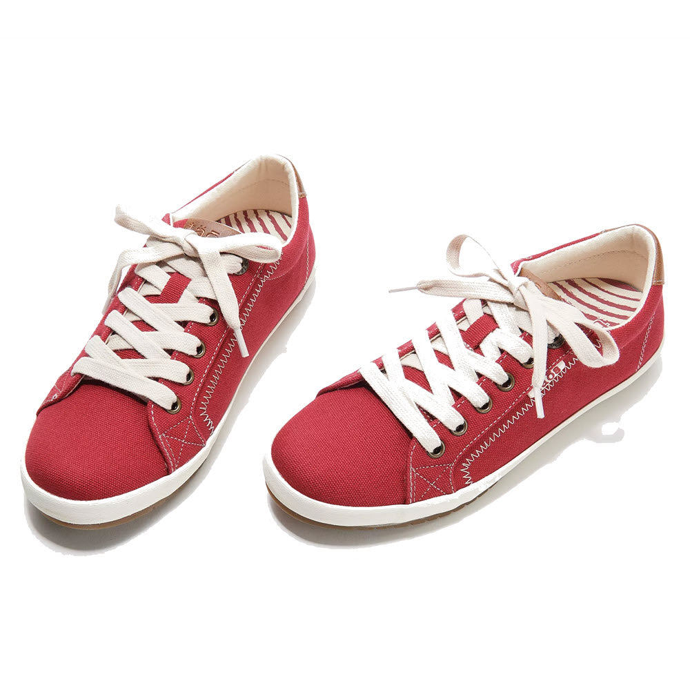 Introducing the TAOS STAR BURST RED - WOMENS sneakers by Taos: A pair of red canvas sneakers with white laces, rubber soles, distinctive white stitching, a striped interior lining, and a custom fit for superior comfort.