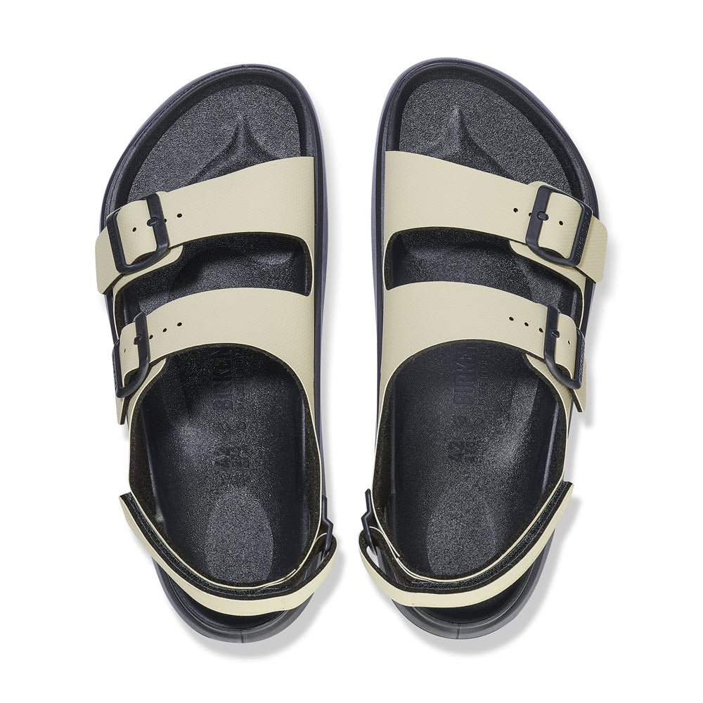 A pair of beige durable sandals with black soles, featuring two adjustable straps with black buckles on each. The Birko-Flor material and waterproof footbed ensure long-lasting comfort. The BIRKENSTOCK MOGAMI TERRA OASIS EUCALYPTUS - WOMENS by Birkenstock are viewed from above.