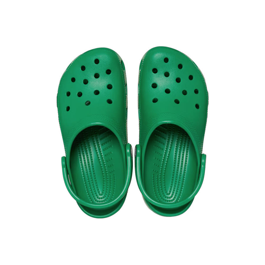 A pair of CROCS CLASSIC CLOG GREEN IVY - ADULTS, viewed from above, featuring perforated holes and heel straps, showcasing the Iconic Crocs Comfort.