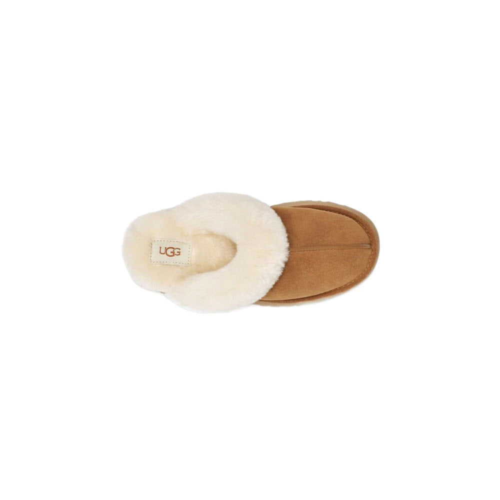 A top view of a single UGG DISQUETTE CHESTNUT - WOMENS slipper featuring a white, fluffy lining and showcasing the iconic slip-on silhouette from Ugg.