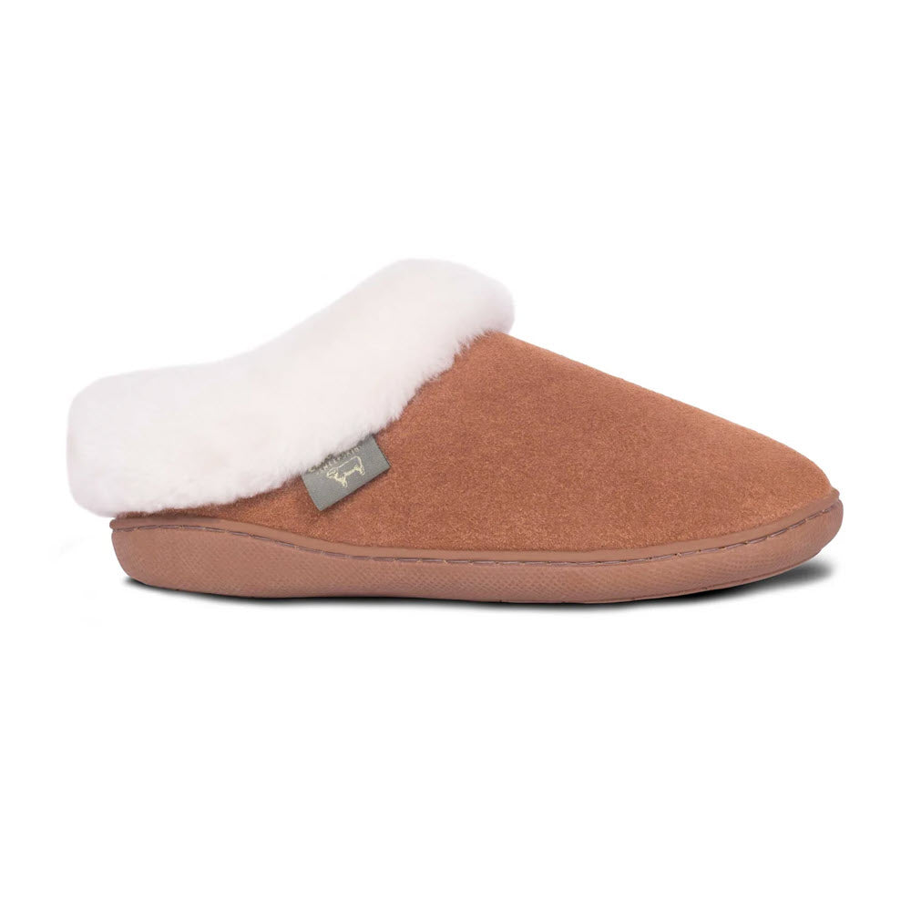 CLOUD NINE SUNRISE CLOG CHESTNUT - WOMENS